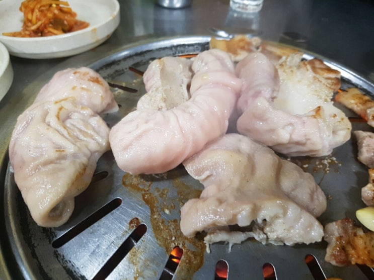 여포꾸이꾸이 이미지