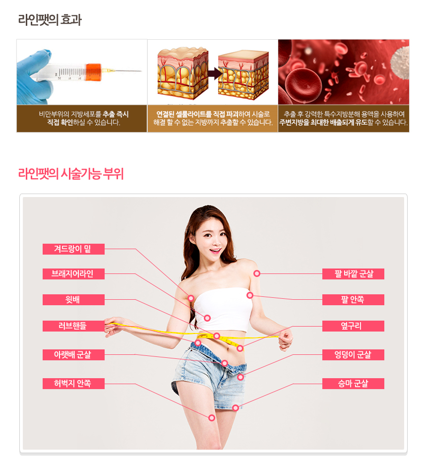 라인앤 이미지