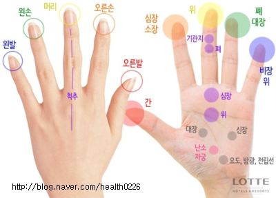 얼굴지압, 손지압, 발지압 지압점 알아보기 : 네이버 블로그