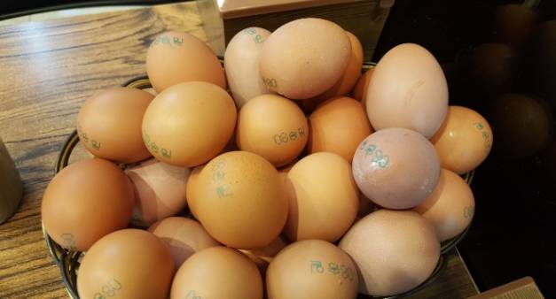 시골순두부 이미지