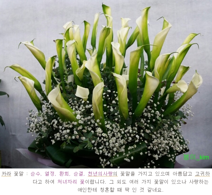 넝쿨화원 이미지