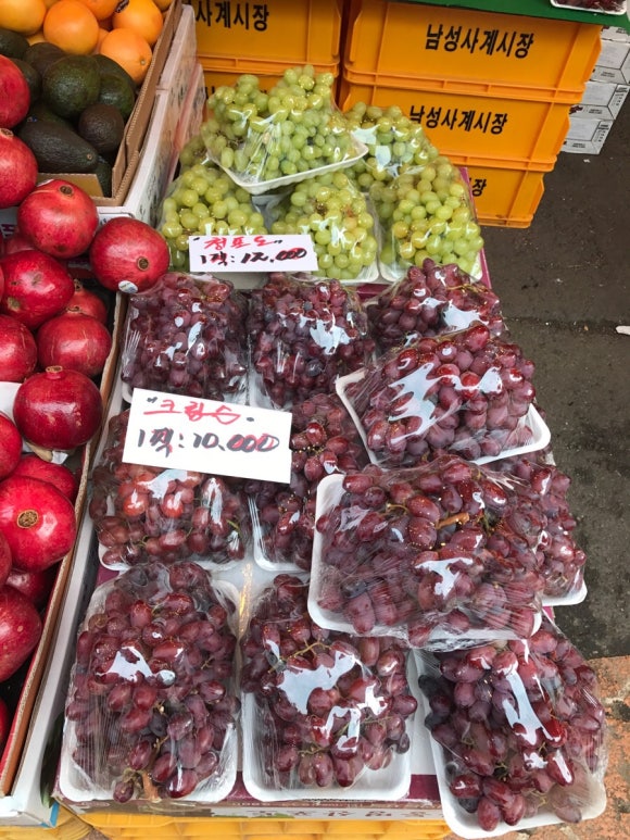 해돋이청과 이미지