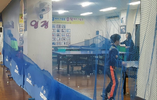 예블링 이미지