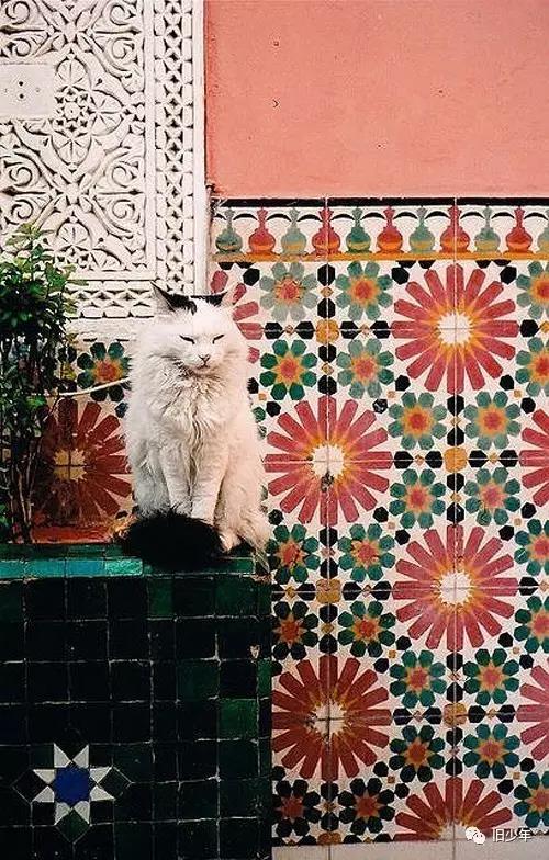 그림의떡 이미지