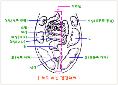 혀를 보면 건강이 보인다! 설진 진단법이란? : 네이버 블로그