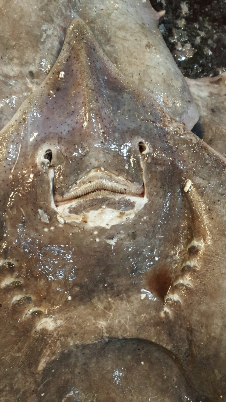 동광상회 이미지