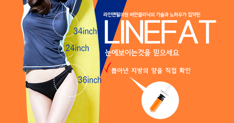 라인앤 이미지