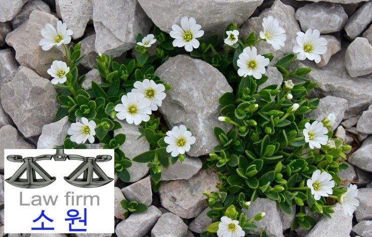 우리법률사무소 이미지