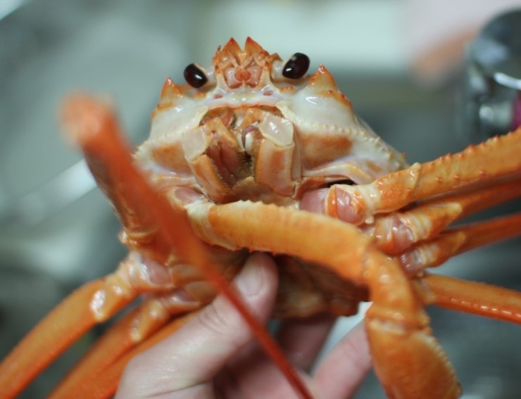 (주)동해수산 이미지