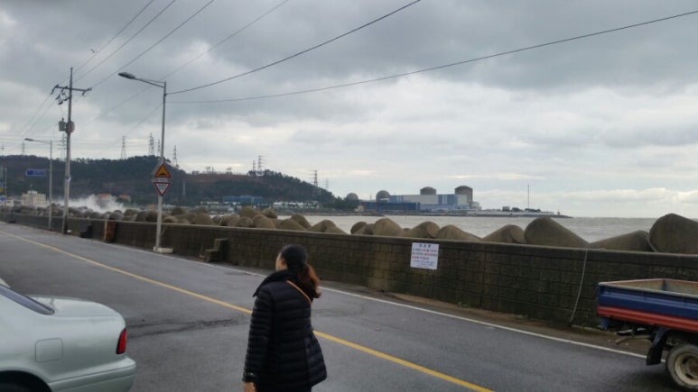 초산아구찜 이미지