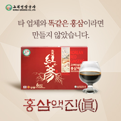 고려홍삼면역 이미지