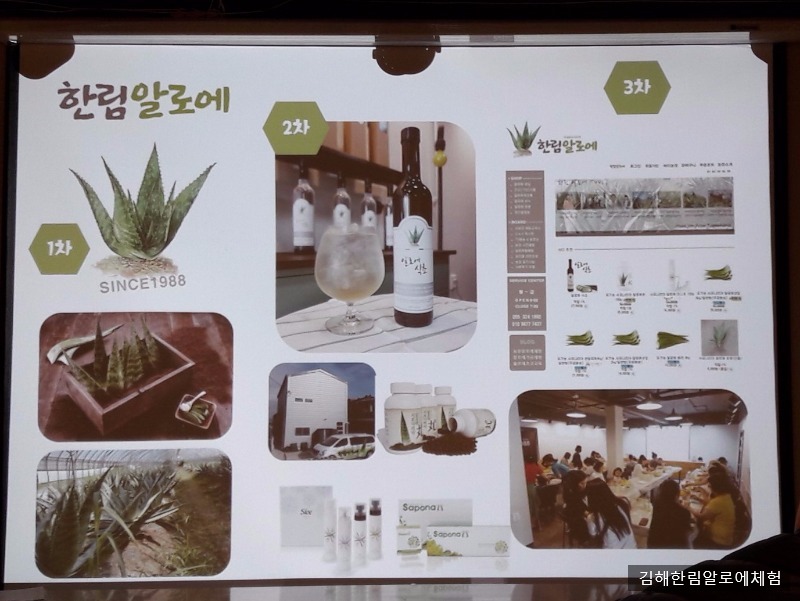한림알로에교육장 이미지