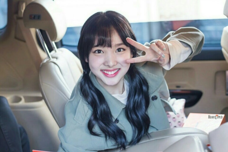 봉스 이미지