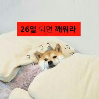 카페예원 이미지