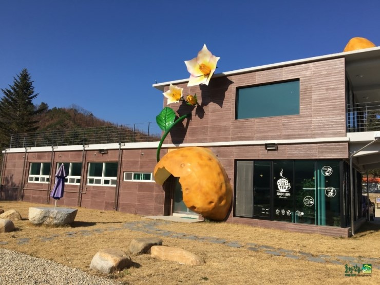 강릉꼭대기쉼터 이미지