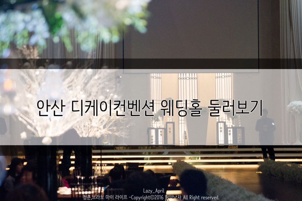 디케이투어 이미지