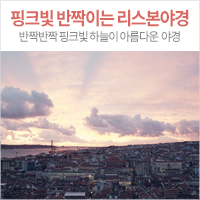 (주)모든엘리베이터 이미지