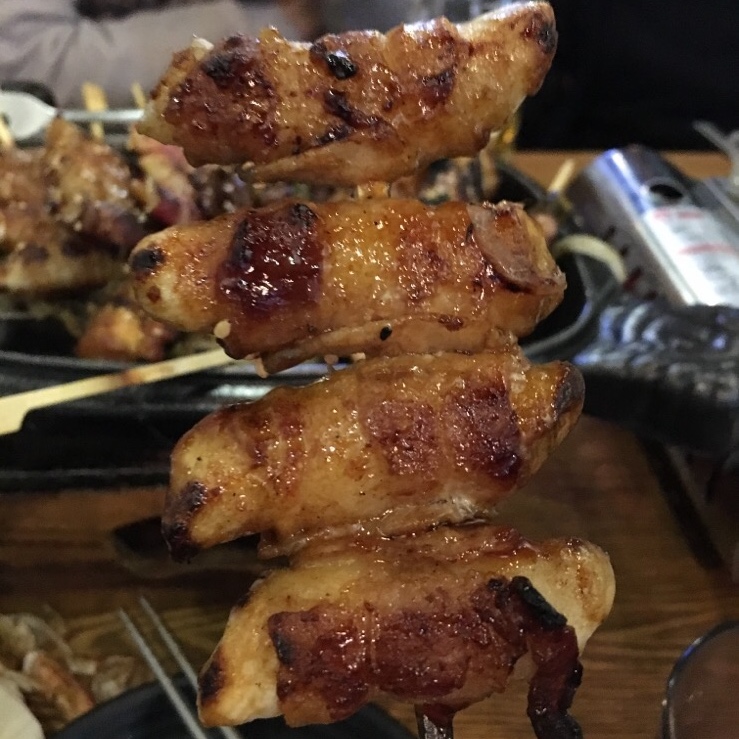갈라파꼬치 이미지