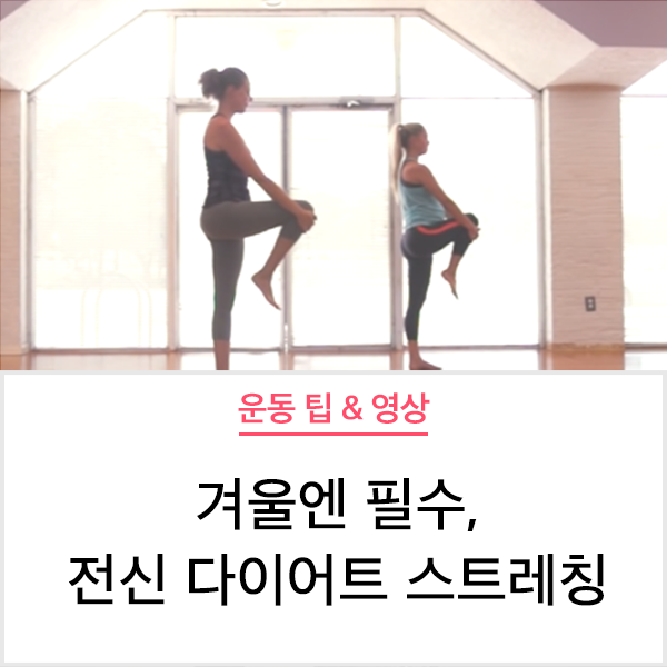 전신운동스트레칭 이미지