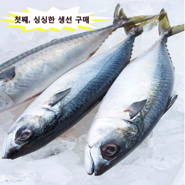 생선구이 이미지