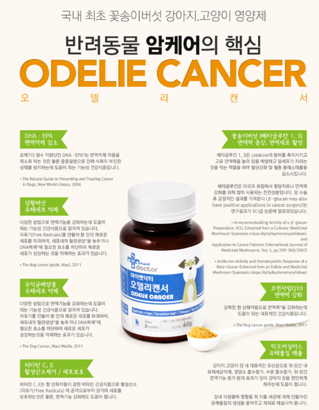 오델리 이미지