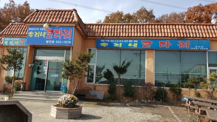 우리네코다리2 이미지