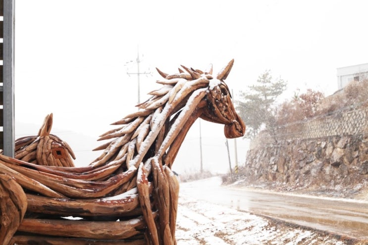 석송농장 이미지