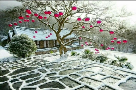 담아담아 이미지