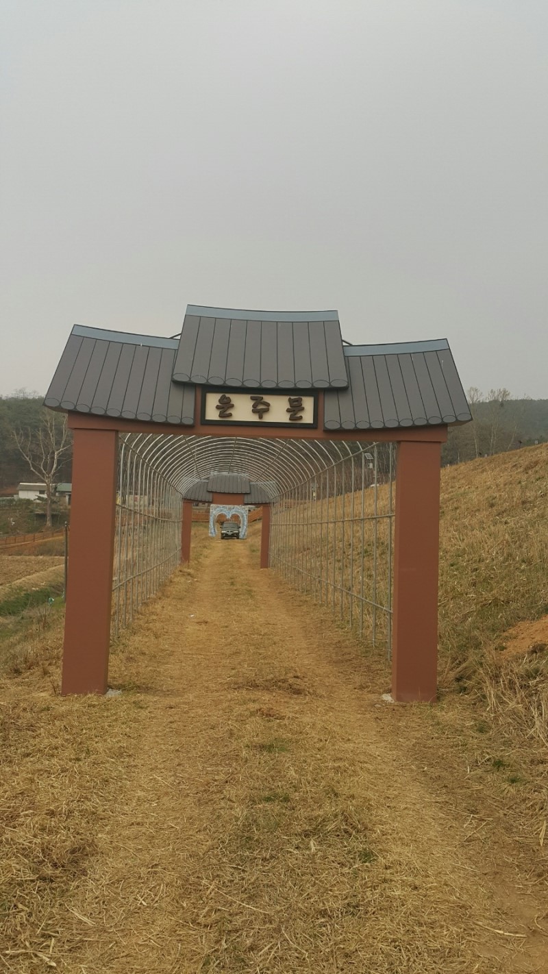 넝쿨화원 이미지