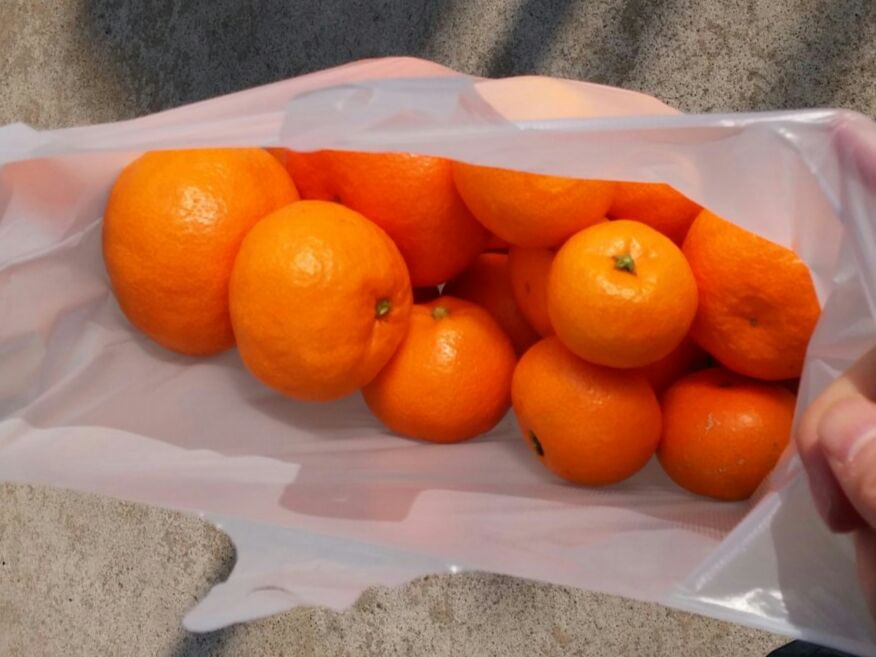 사계절농수산쉼터 이미지