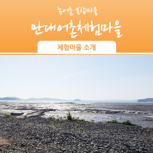 만대어촌체험마을 이미지