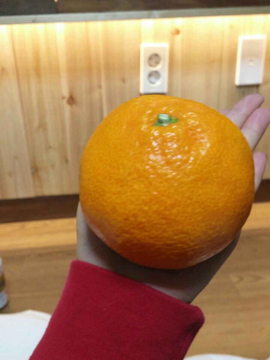 사계절농수산쉼터 이미지
