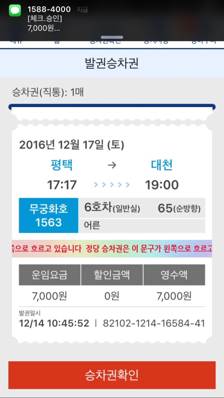 아비시니아 이미지