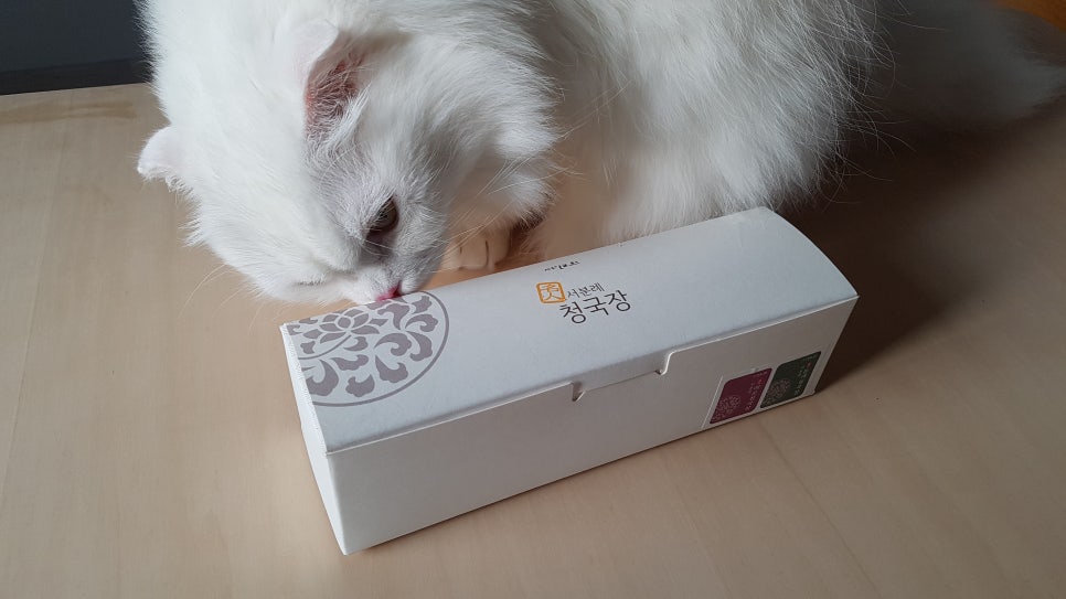 김집사 이미지