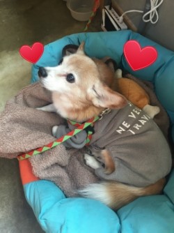 비에이헤어 이미지