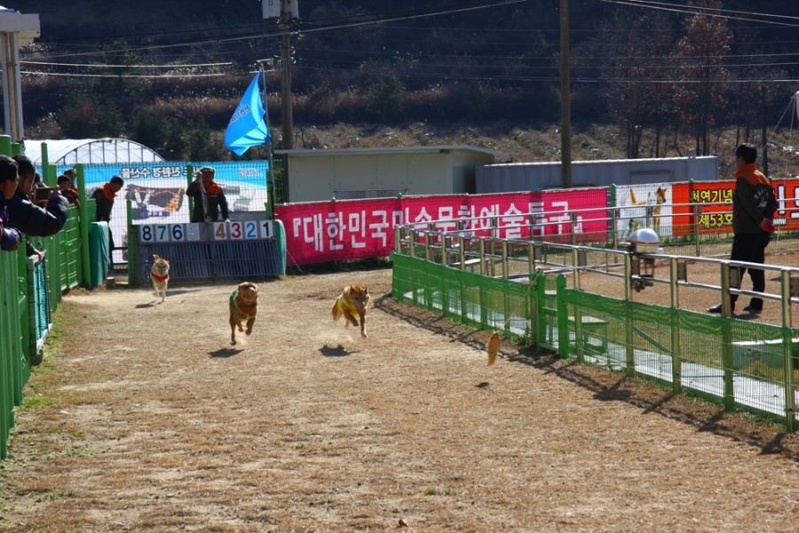 사랑방 음식점 이미지