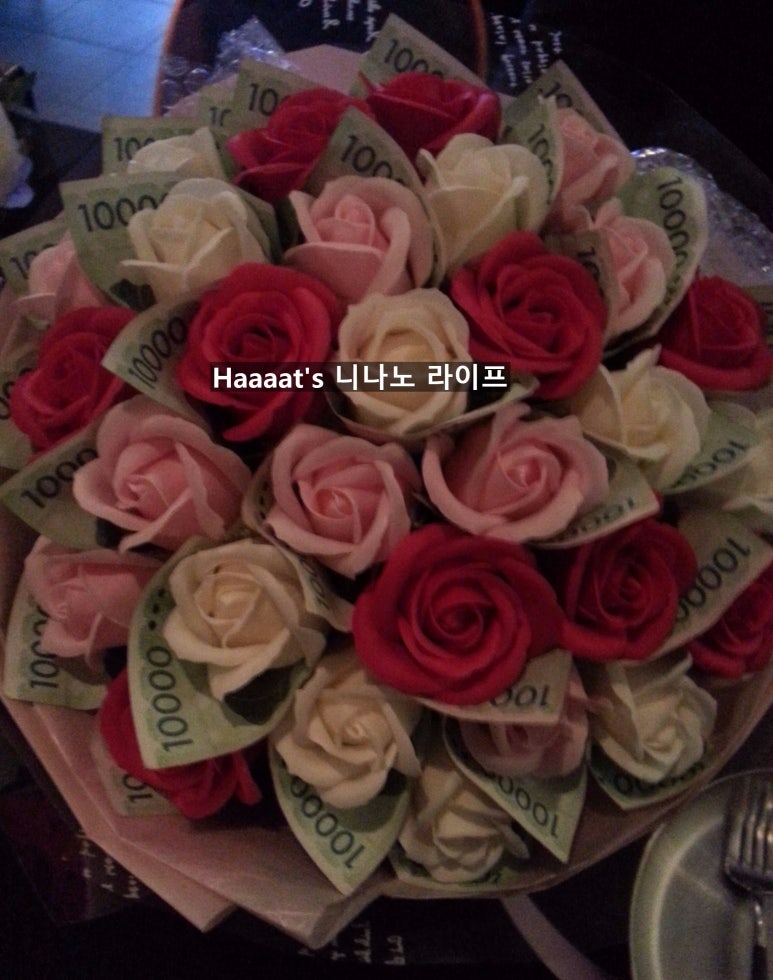 누(Noo) 이미지