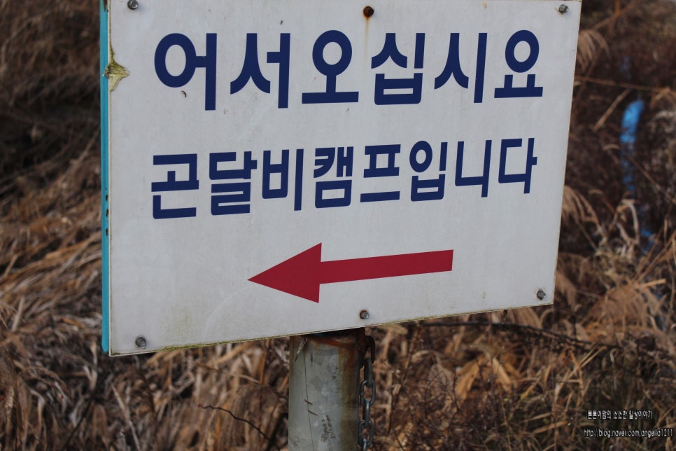 곤달비캠프 이미지
