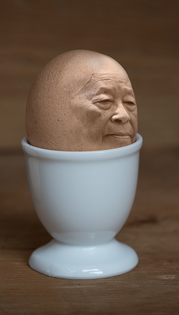 후다닭 이미지