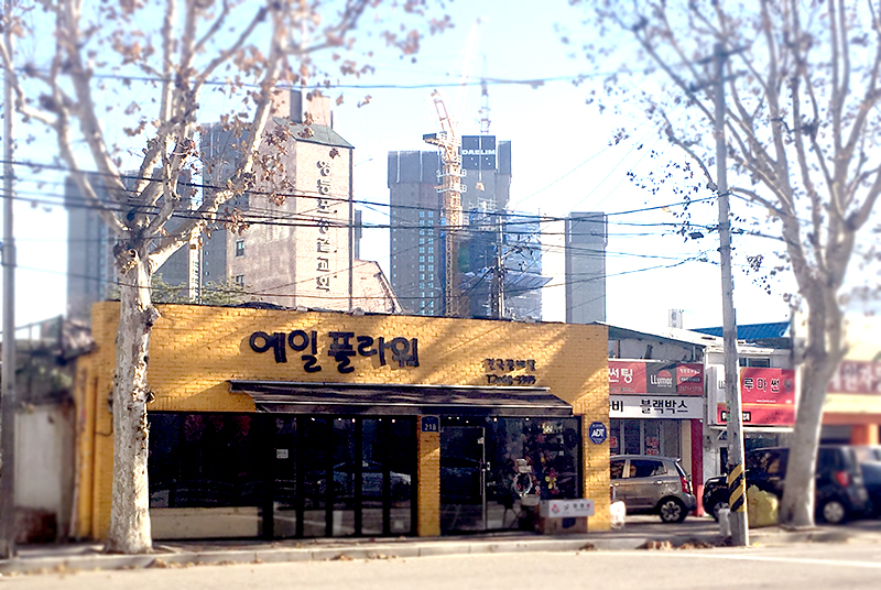 예일플라워 이미지