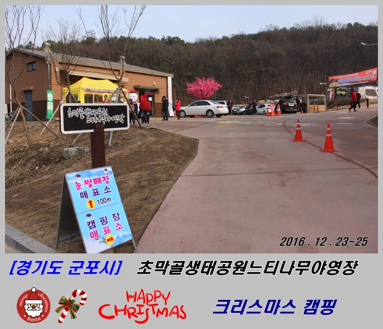 느티나무야영장 이미지