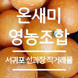 온새미 영농법인 이미지