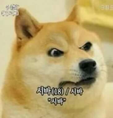 흠 이미지