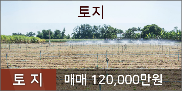연원푸른의원 이미지