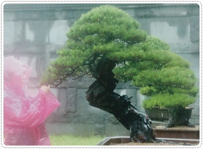 사진문화원 이미지