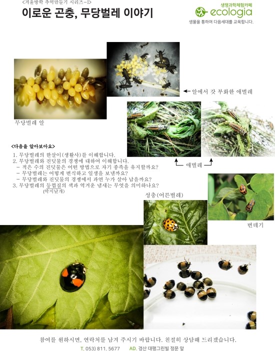 에콜로지아 이미지