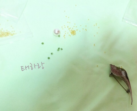 이오비즈 이미지