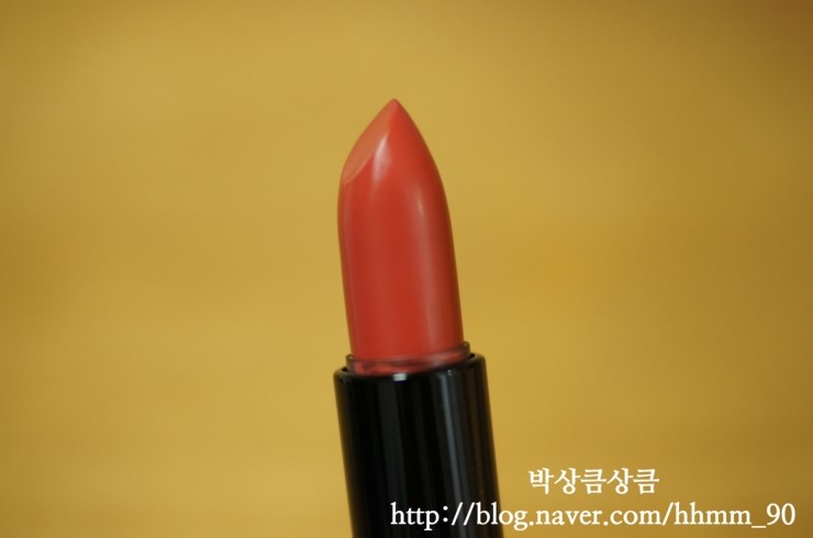 도디 이미지