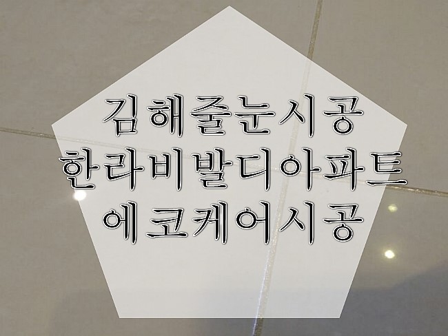 에코케어(eco-care) 이미지