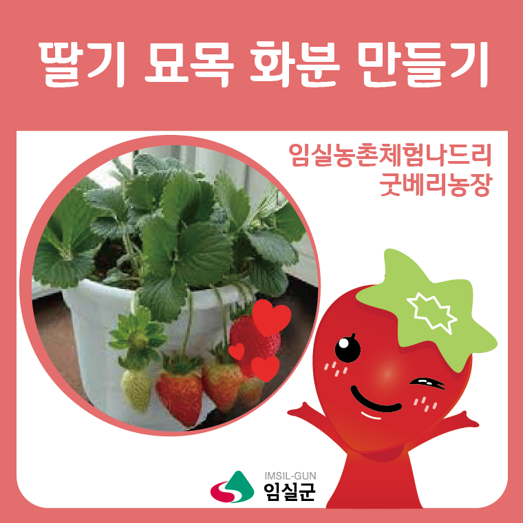베리굿농장 이미지